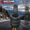 Haida HD627 225/70R15C8PR Winter Tire